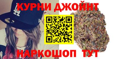 apvp Гусев