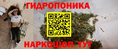 гидра Гусь-Хрустальный