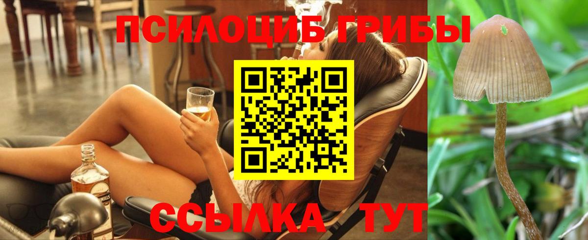Псилоцибиновые грибы GOLDEN TEACHER Малгобек