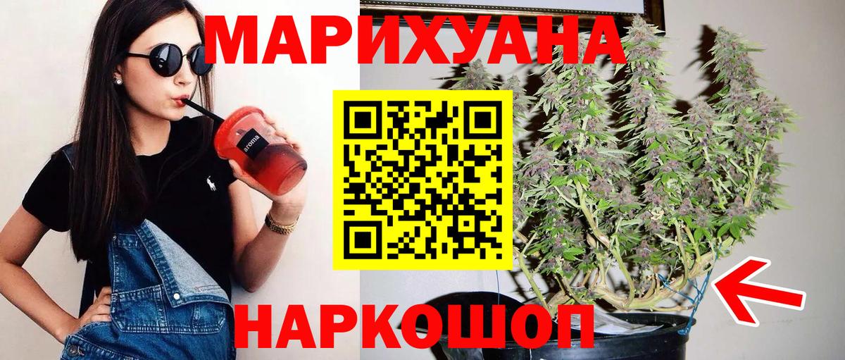 Бошки марихуана конопля Малгобек